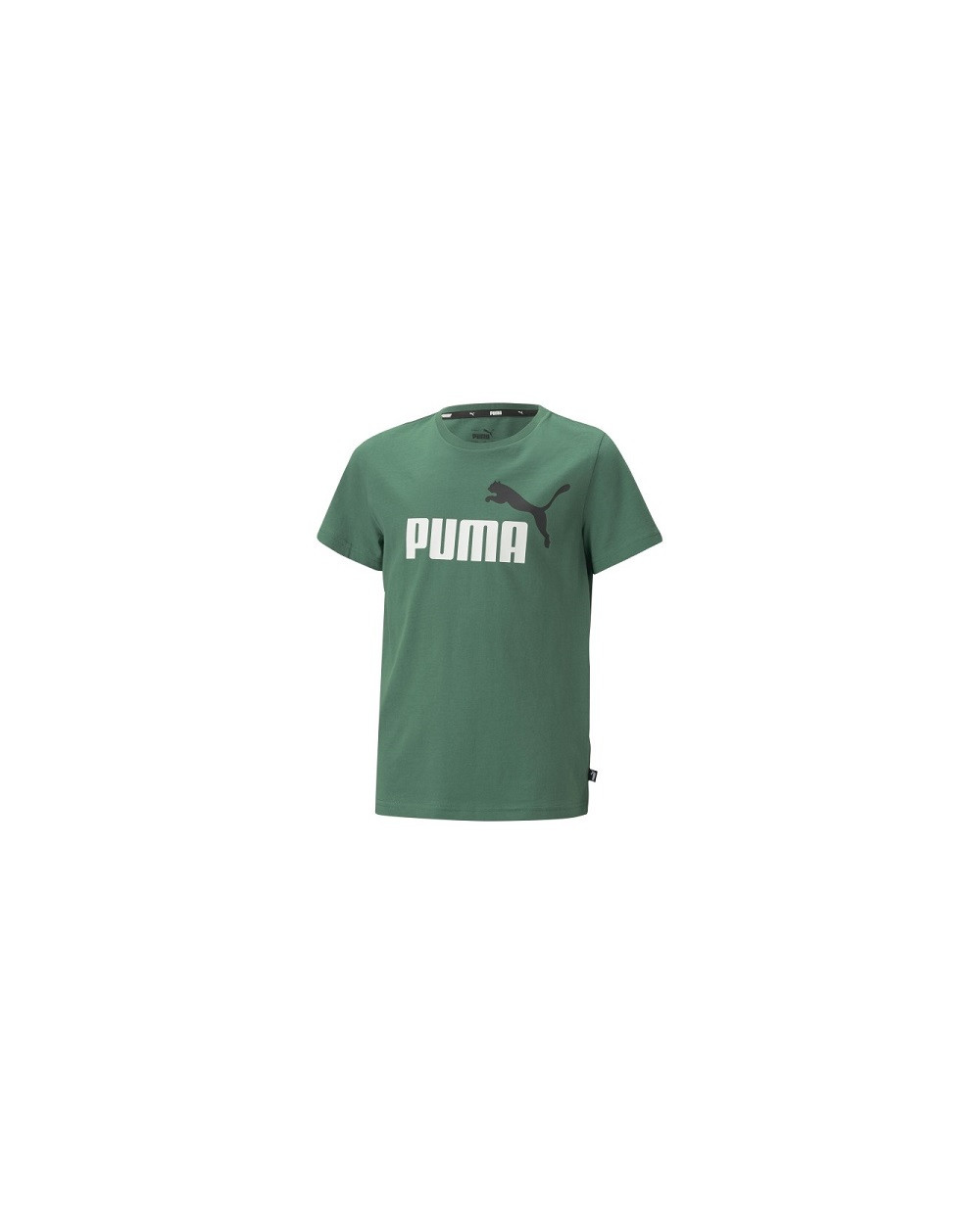 T-SHIRT PUMA BAMBINO 586985 verde